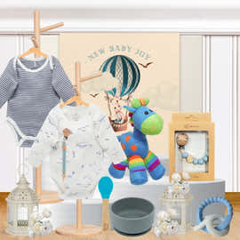 Baby Boy Playtime Hamper