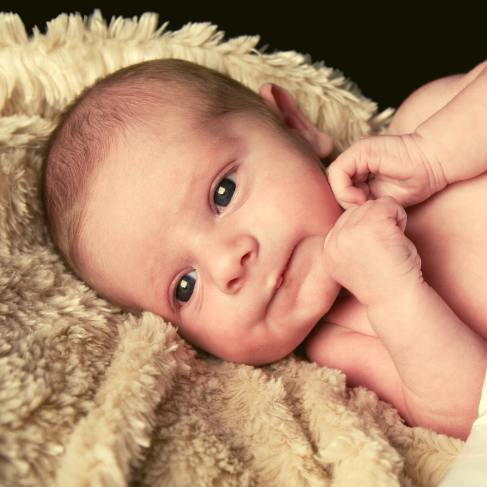 Hampers Galore Best Selling Baby Hampers In Sydney