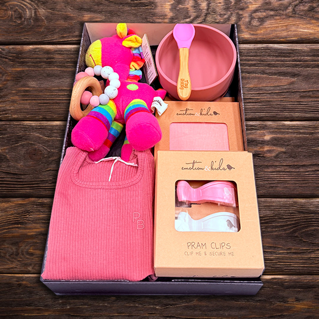 Baby Girl Playtime Hamper