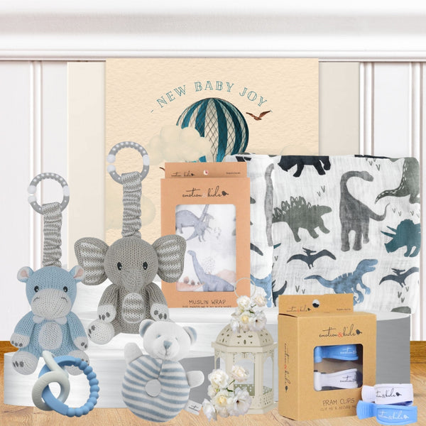 Rattles for Baby Boy Hamper