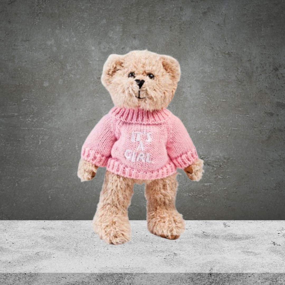 Baby Girl Teddy Bear