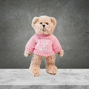 Baby Girl Teddy Bear
