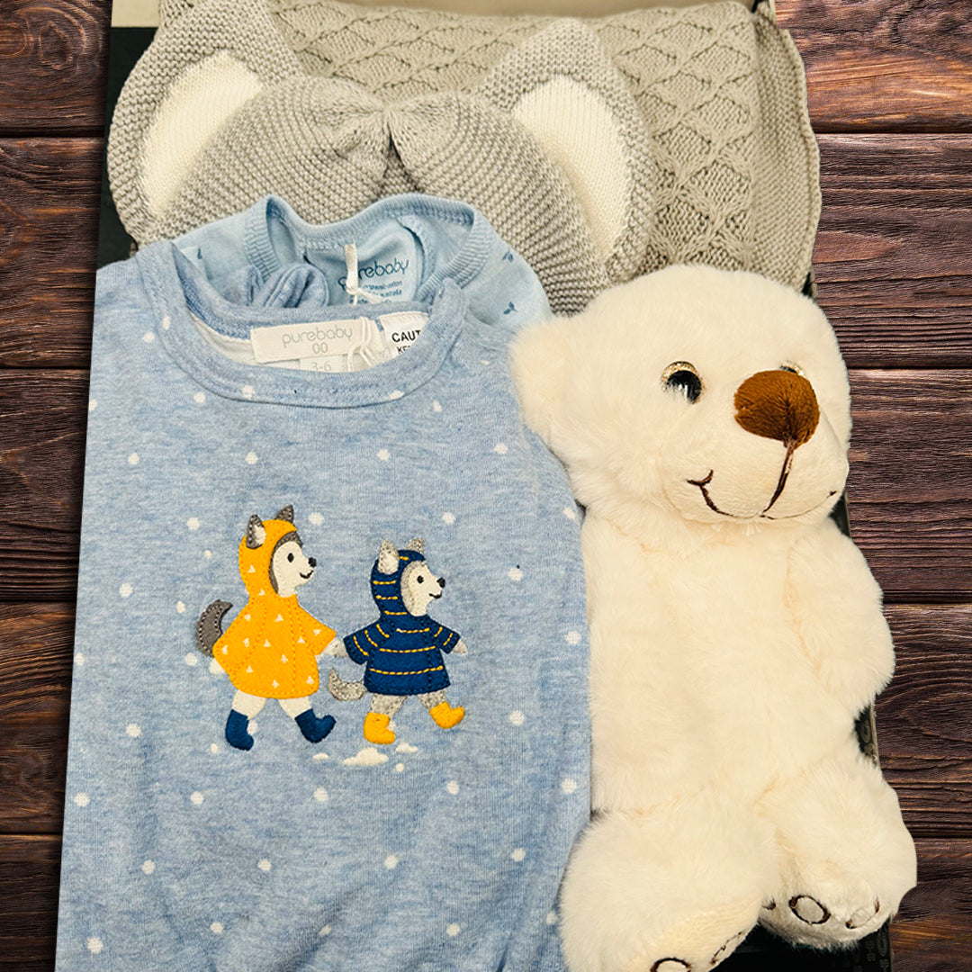 Baby Boy Essential Hamper