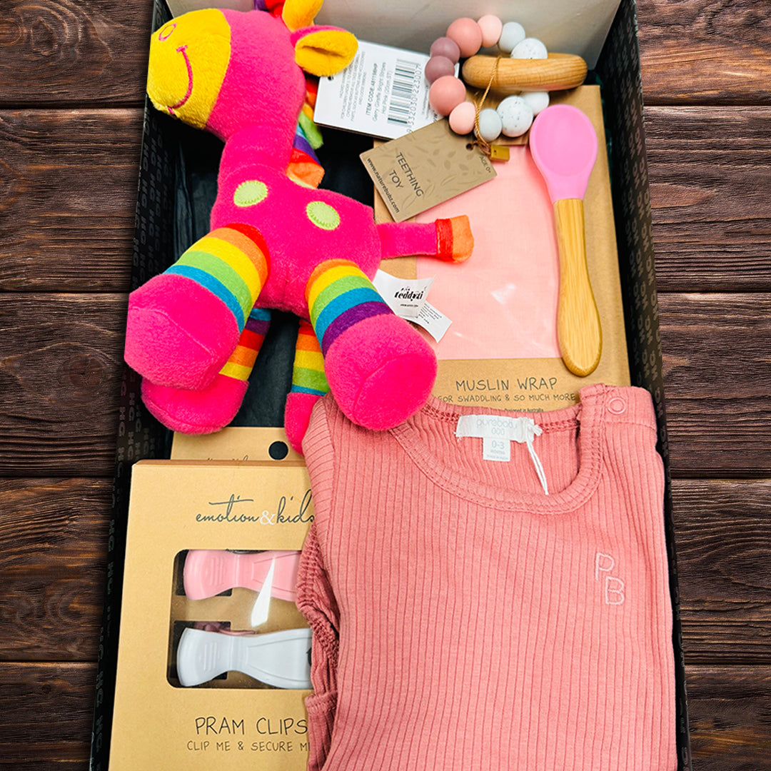 Baby Girl Playtime Hamper