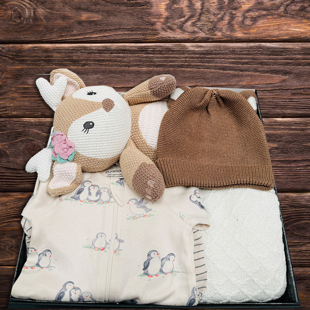 Gender Neutral Newborn Baby Gift Hamper