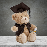 Graduation Teddy Bear