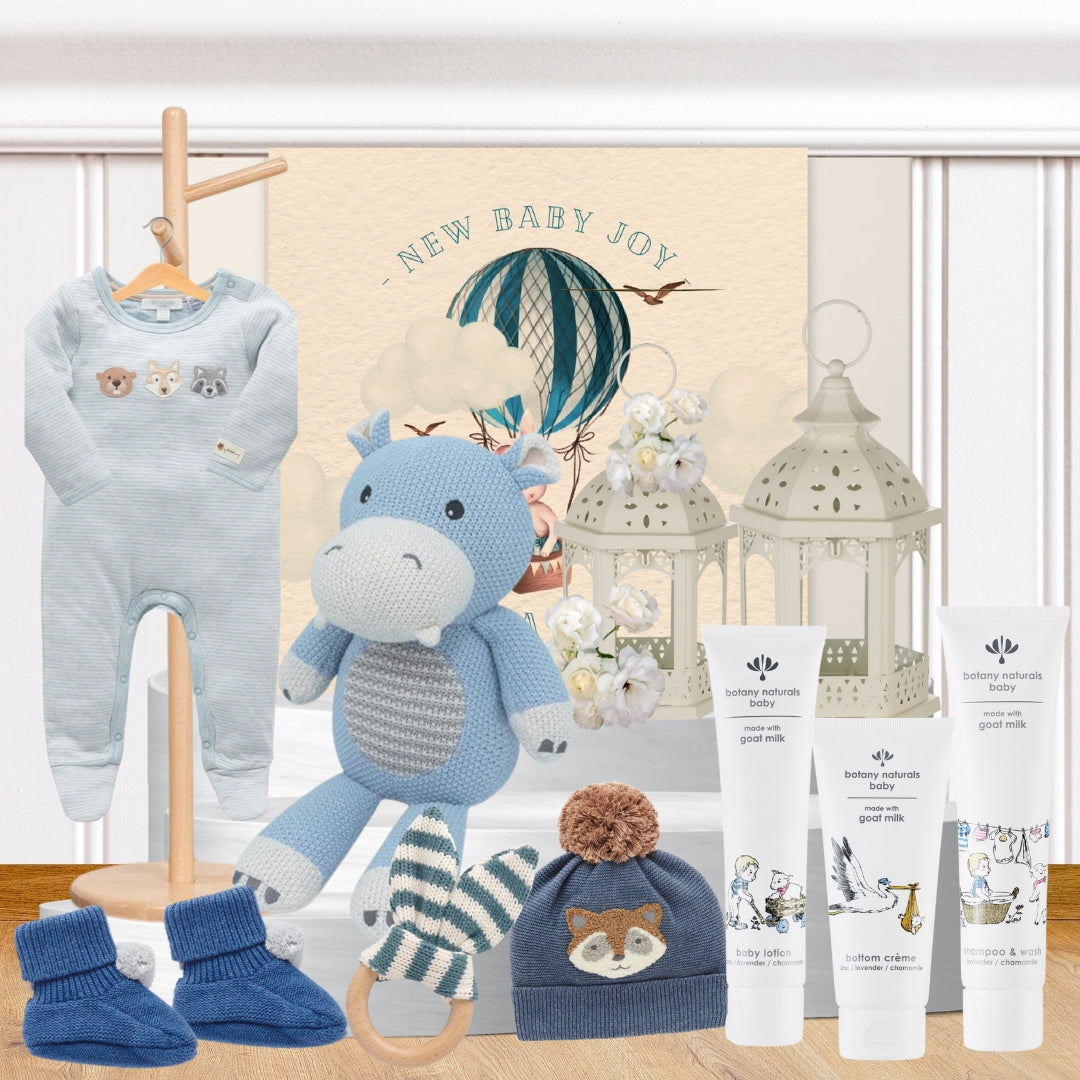 Snuggles Baby Boy Hamper