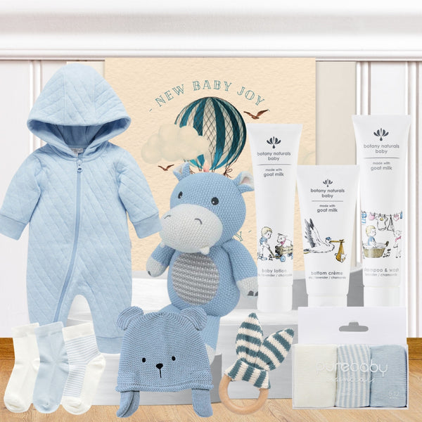 Snuggles Baby Boy Hamper