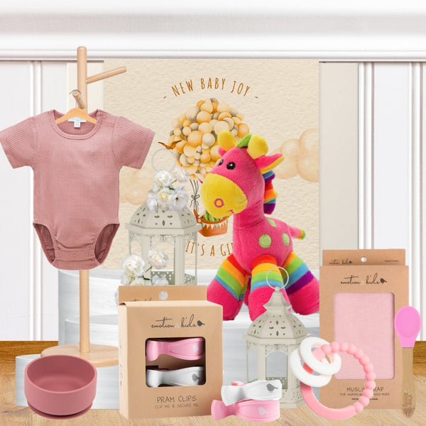 Baby Girl Playtime Hamper