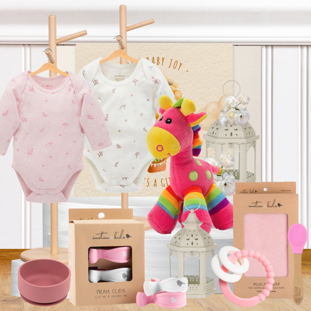 Baby Girl Playtime Hamper
