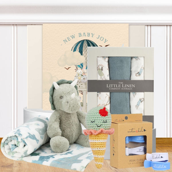 Newborn Baby Boy Playtime Hamper