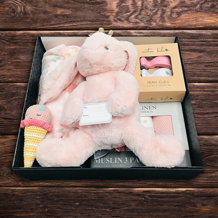 Newborn Baby Girl Playtime Hamper