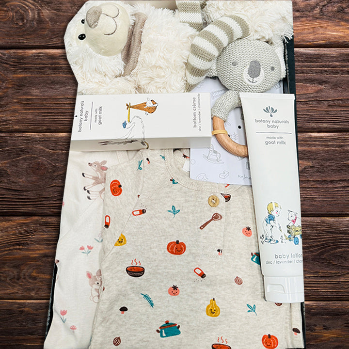 Newborn Baby Playtime Hamper