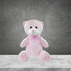 Pink Teddy Bear