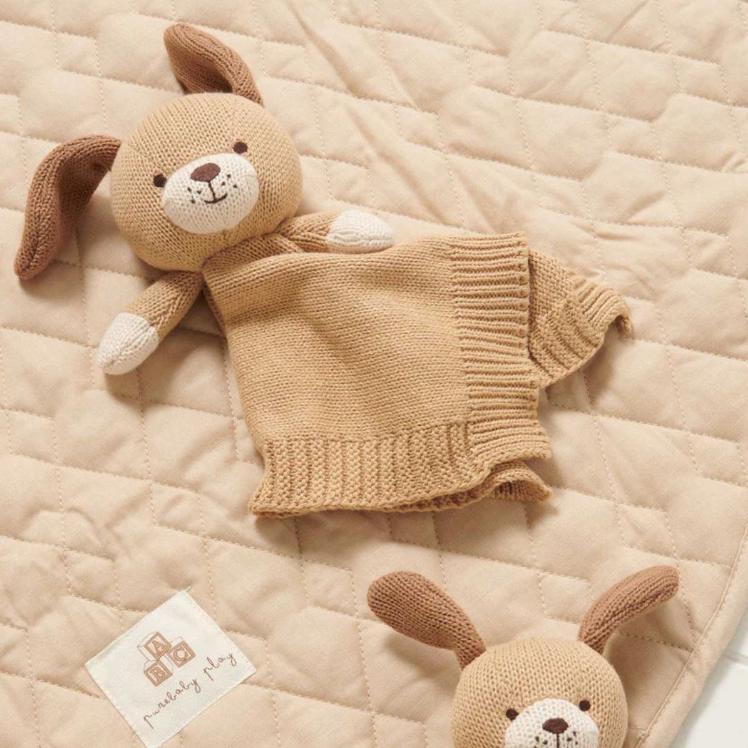 Pure Baby Knitted Dog Comforter