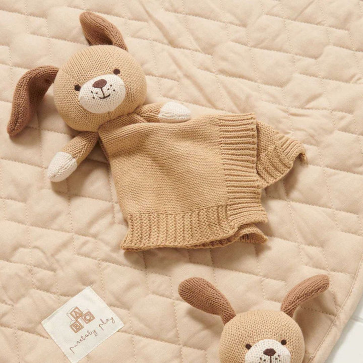 Pure Baby Knitted Dog Comforter