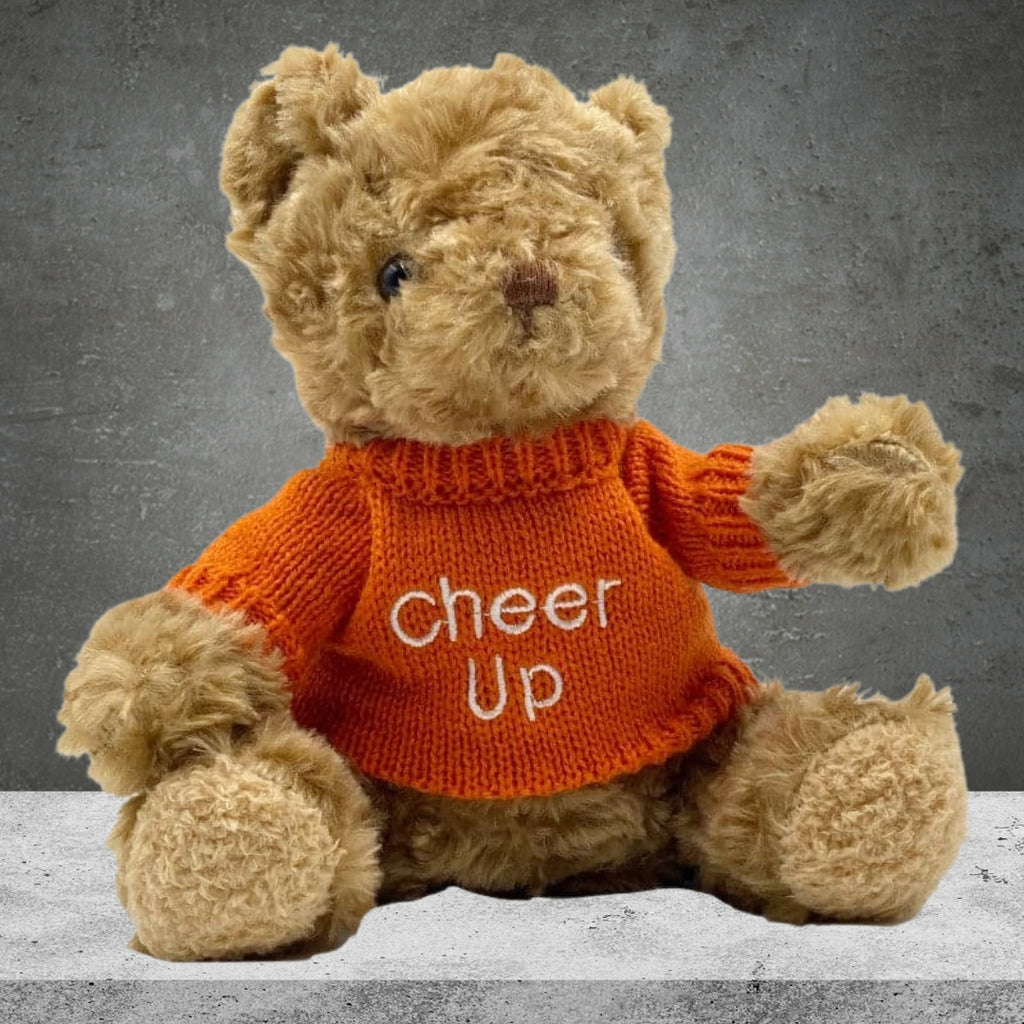 Cheer Up Teddy