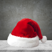 Santa Hat