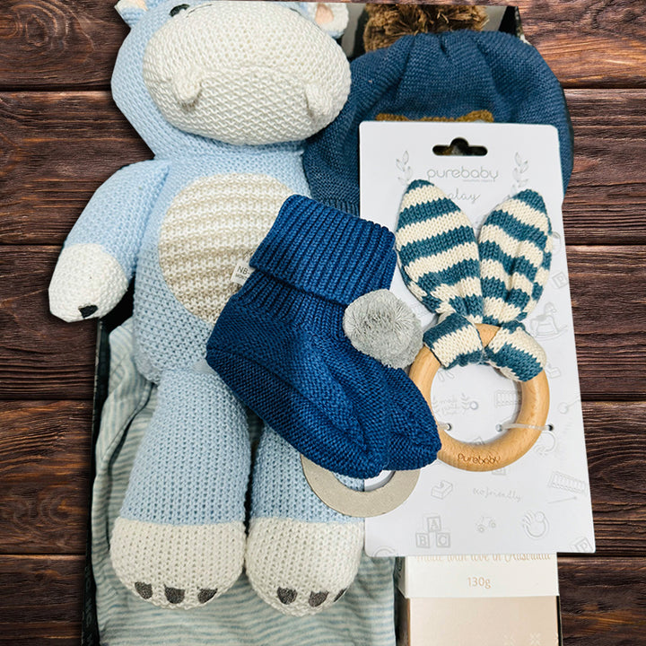 Snuggles Baby Boy Hamper