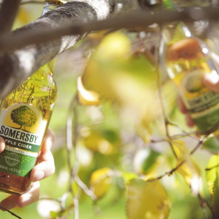  Somersby Apple Cider 