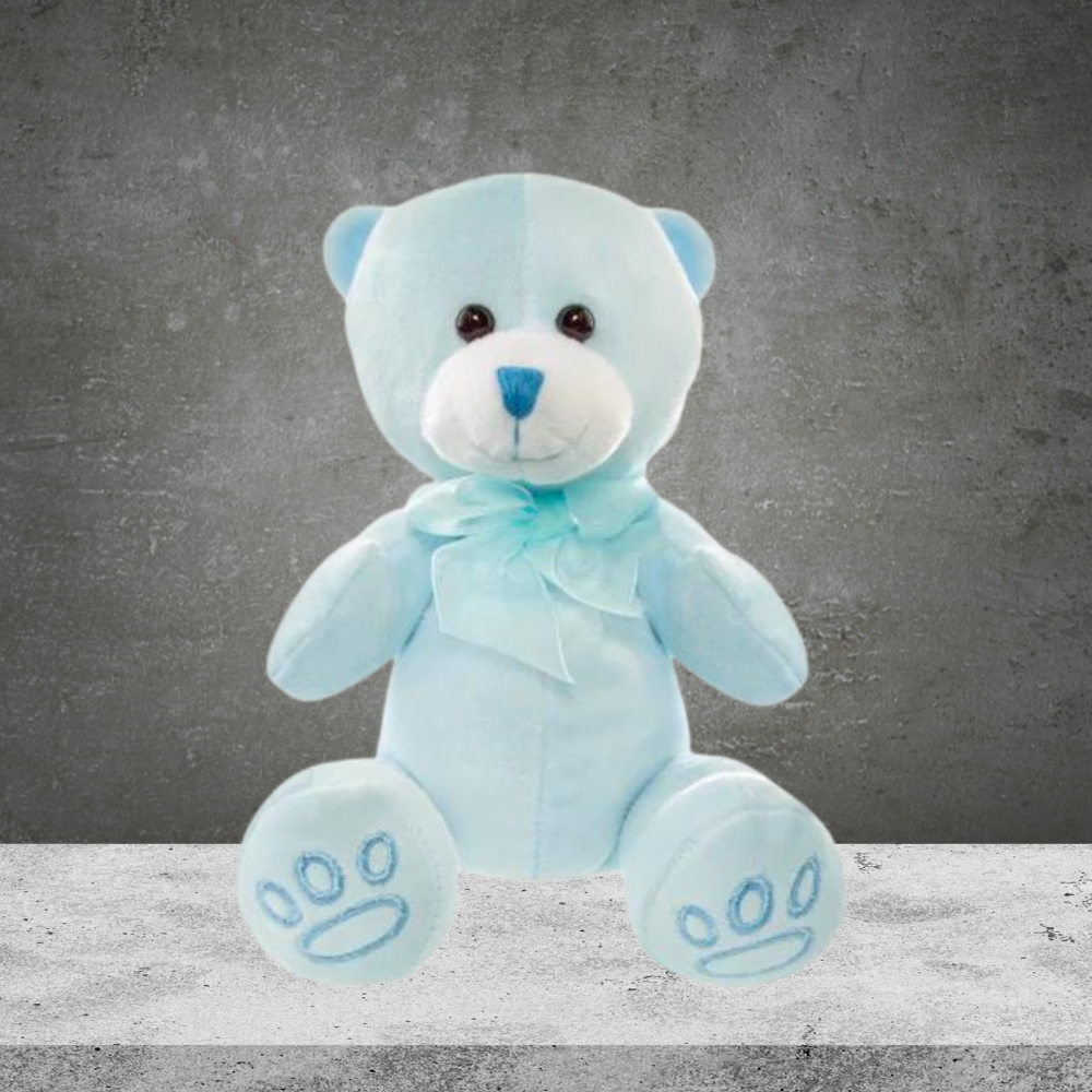 Teddy Bear Blue Baby Paw