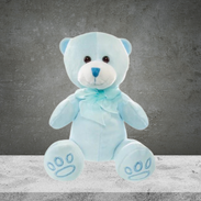 Teddy Bear Blue Baby Paw