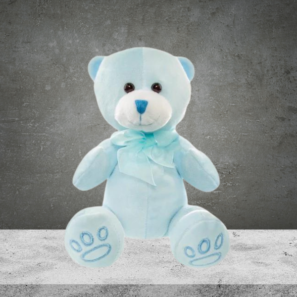 Teddy Bear Blue Baby Paw