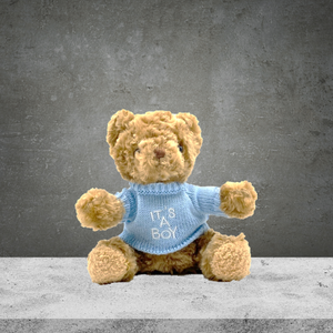 Teddy Bear With It's A Boy