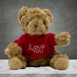 I Love You Teddy