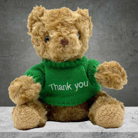 Thank You Teddy